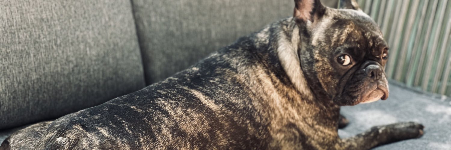 chaibabyyy's profile banner image