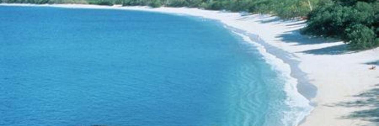Jorge A Collado banner