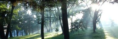 irma_moethi's profile banner image
