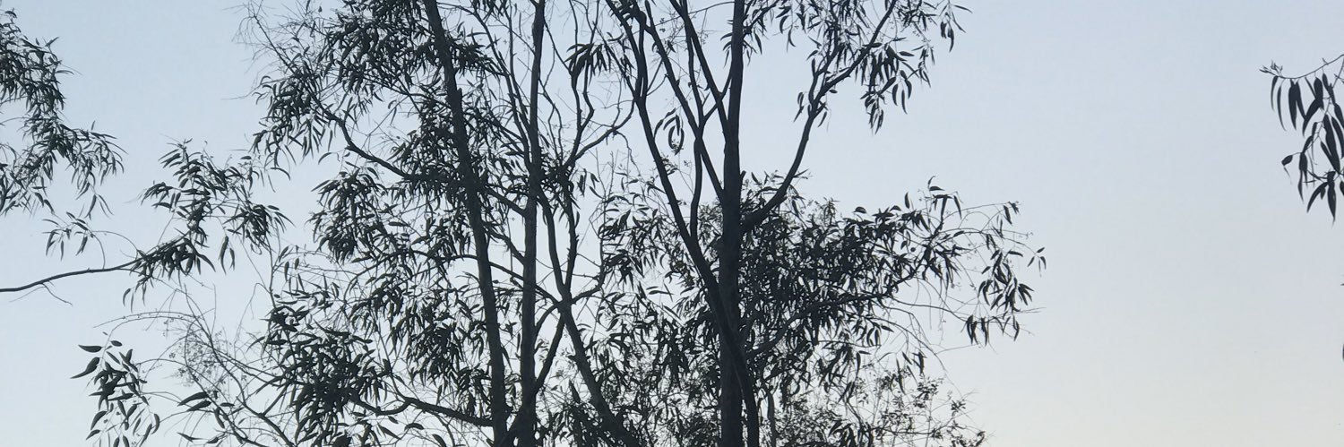 Cankocer1912's profile banner image
