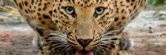 WandaBizzy's profile banner image