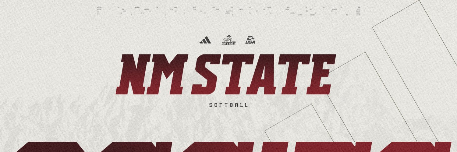 NMStateSoftball's profile banner image