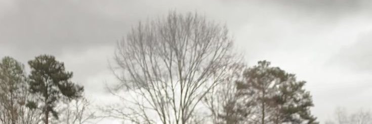 fto0om551's profile banner image