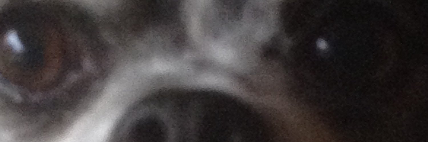 eitak417's profile banner image
