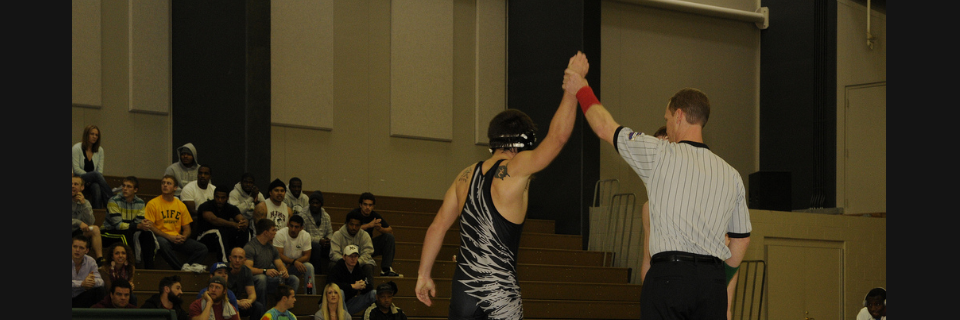 Dillan Schouw banner