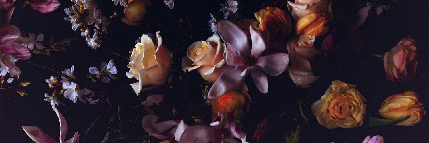 Welcome Dr. Potato banner