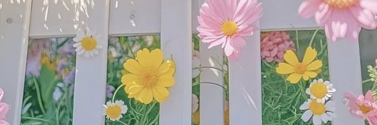 Kassikvkrb's profile banner image