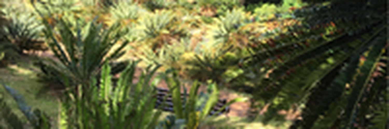 markjenningseth's profile banner image