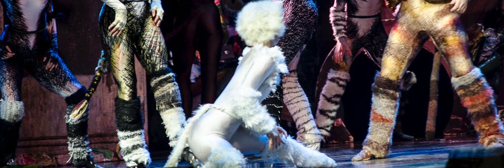 PorcelainFlair's profile banner image