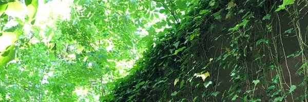 btdinsmore Profile Banner