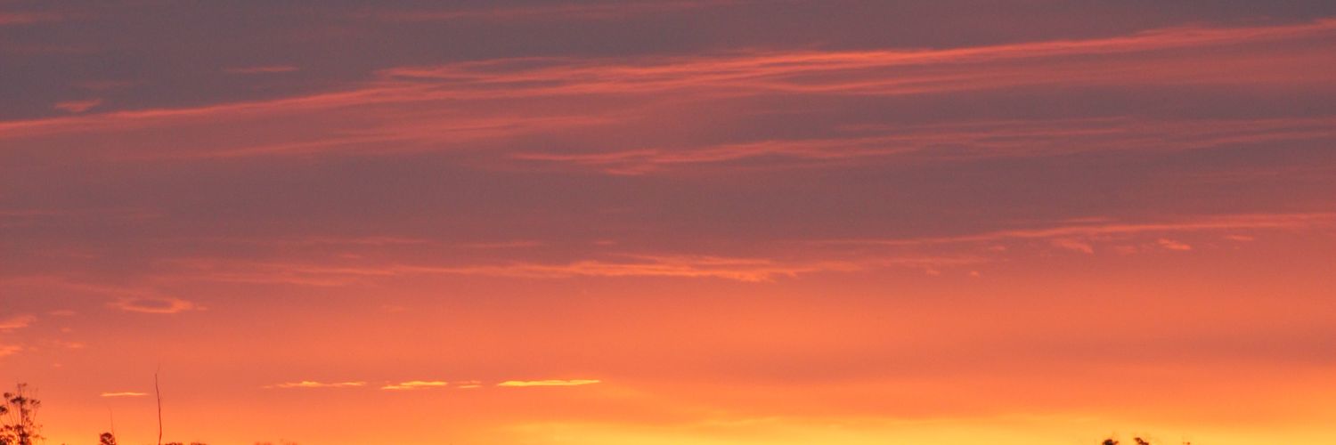 Leonela_N's profile banner image