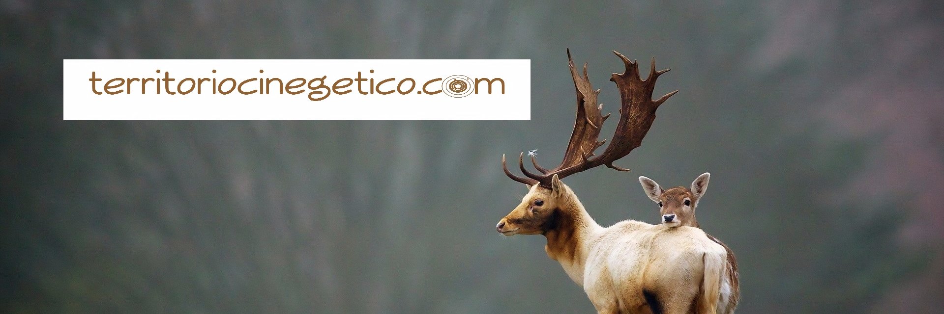 TerritorioCinegético banner