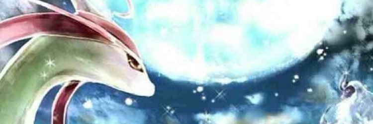 Milotic_Beauty's profile banner image