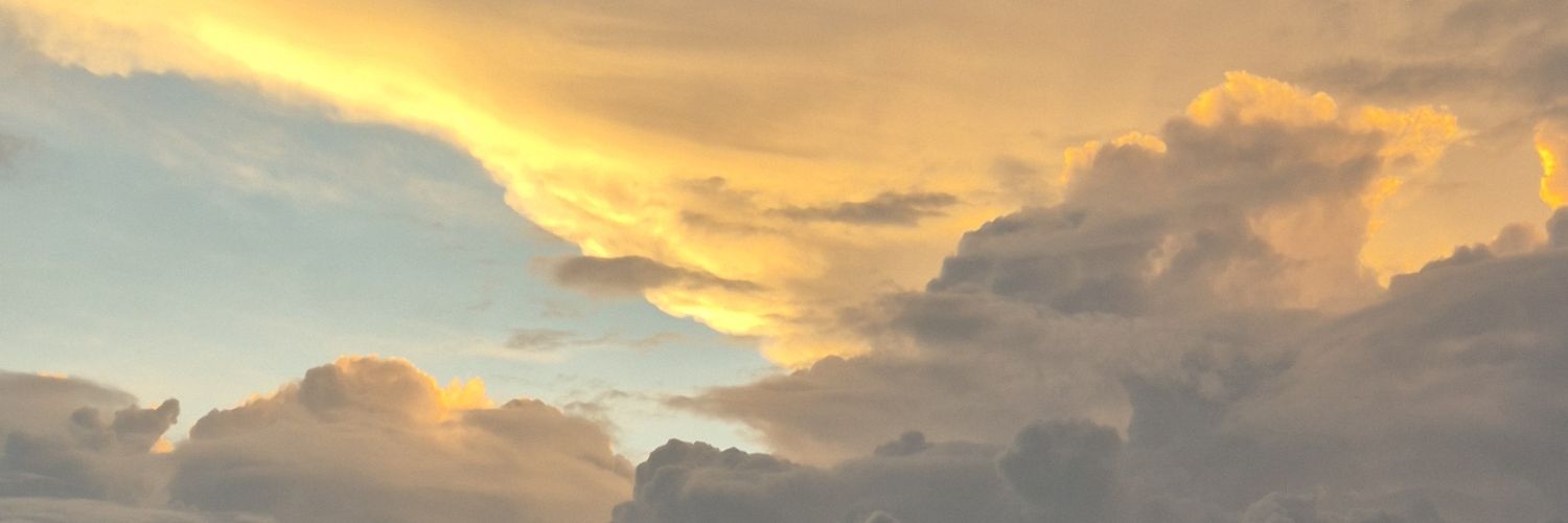 Pausel1_'s profile banner image