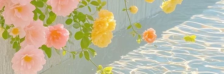 Babbwuubf's profile banner image