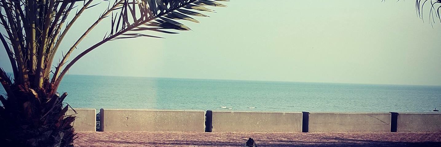 ALba7ar_q8's profile banner image