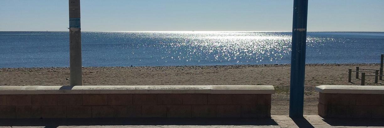 Ana Belén Martínez banner