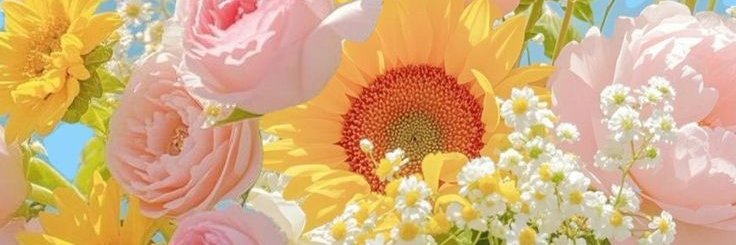 Ranazpcsf's profile banner image