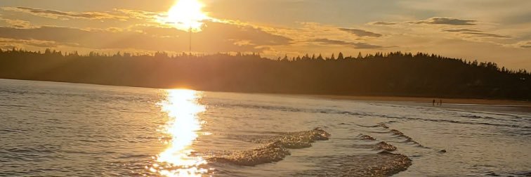 tricia_lee7's profile banner image
