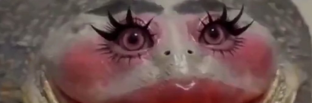 pardalezzsca's profile banner image