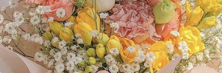 Garnethskqe's profile banner image