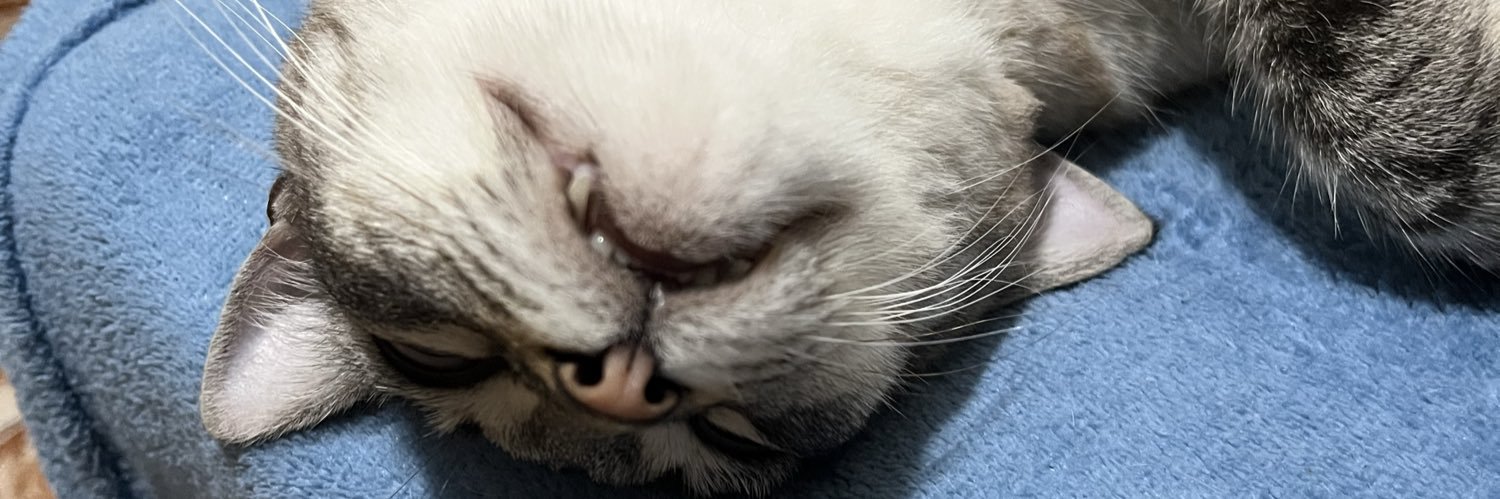_beankan's profile banner image