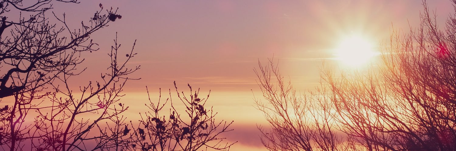 GiuliaCoppetti's profile banner image