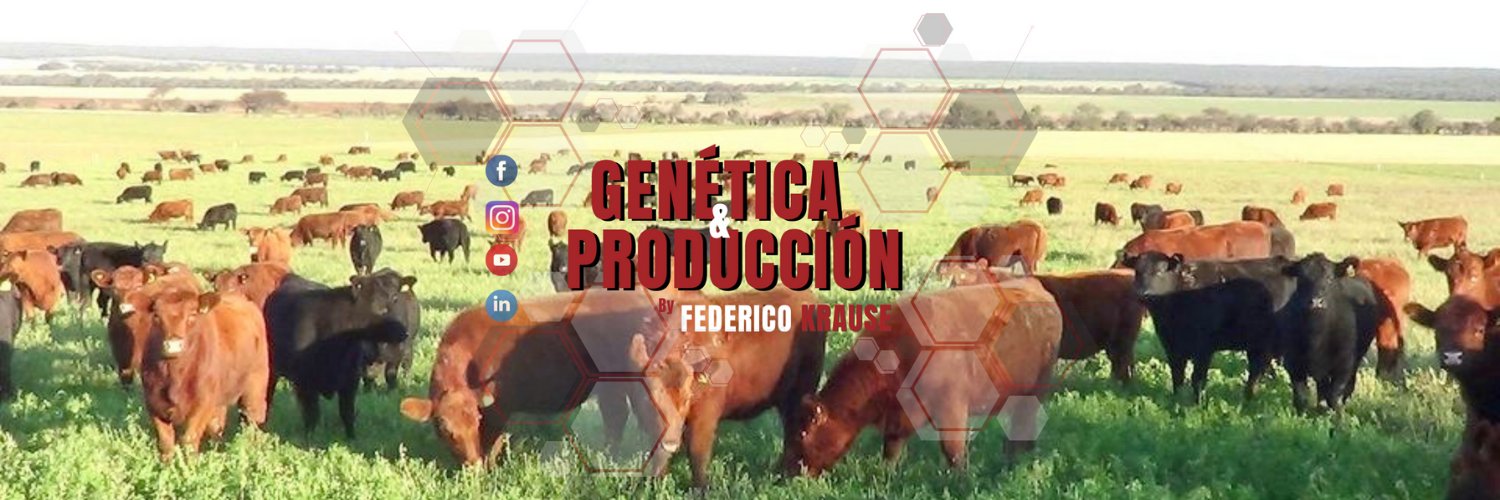 Fede Krause Veterinario banner