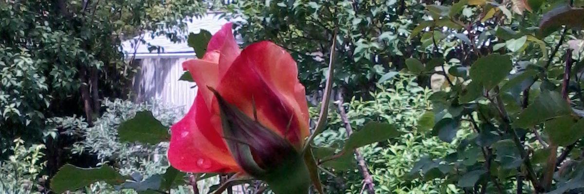 Terry Filicko (TerryFilicko on SPOUTIBLE) banner