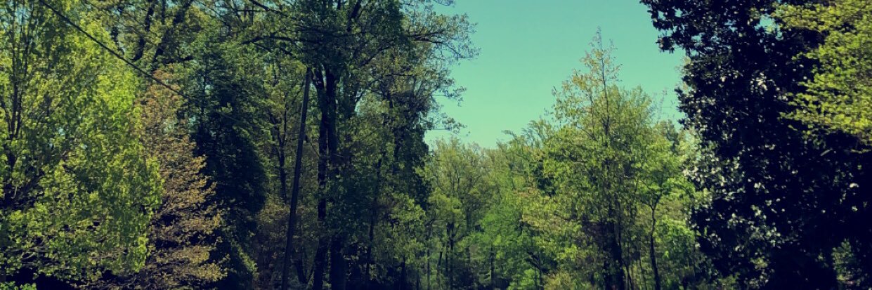 coolgabe2300's profile banner image