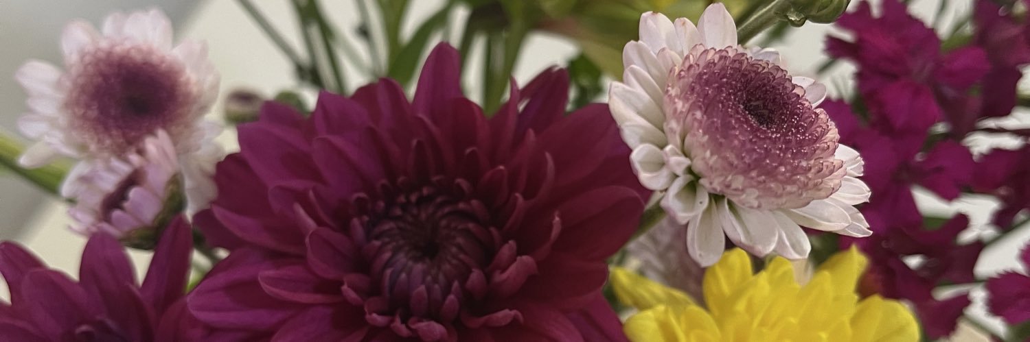 PaschettaPieri's profile banner image