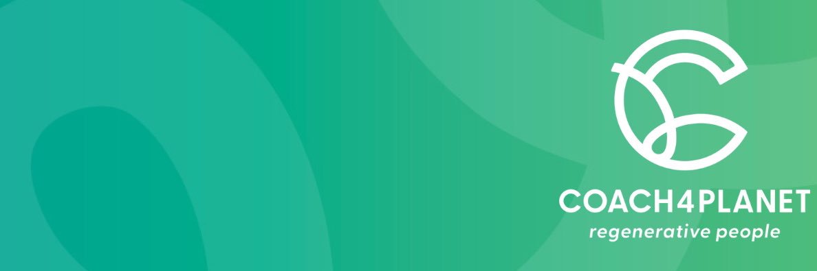 Silvia Tassarotti banner