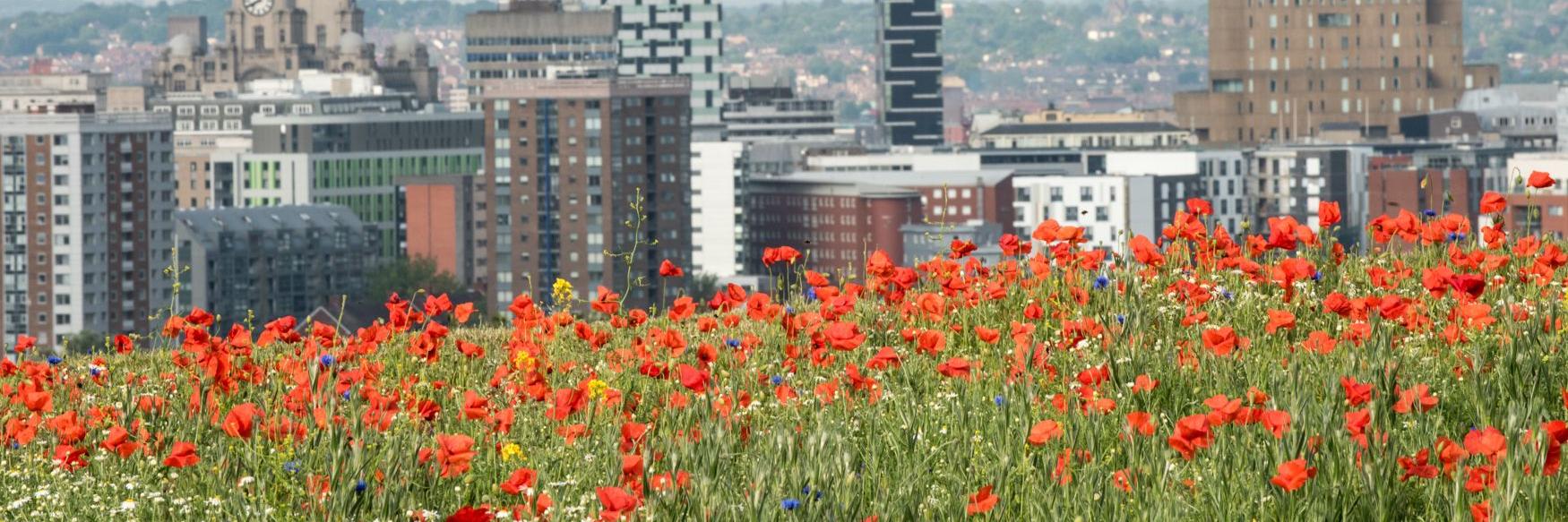 Philip Turvil banner
