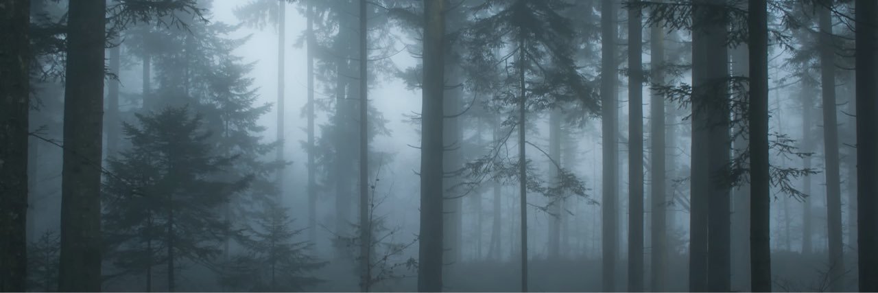 adydelv's profile banner image