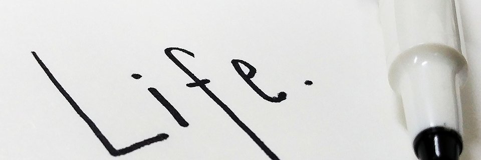asscunnet's profile banner image
