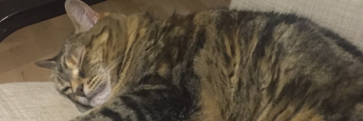 lilidrew's profile banner image