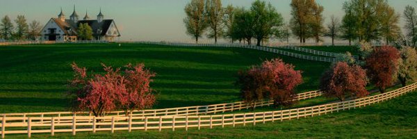 HSG_KY Profile Banner