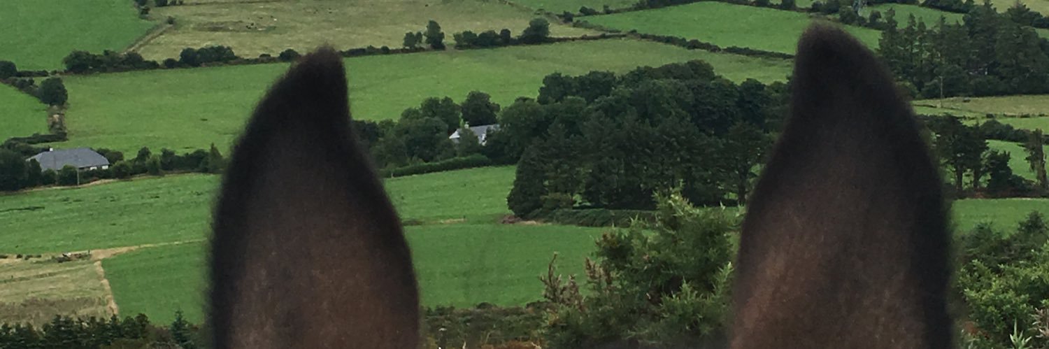 ClaireJones45's profile banner image