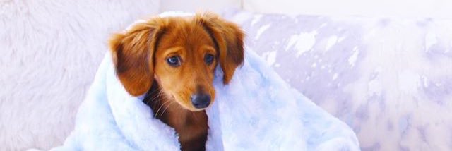 you rock my socks banner