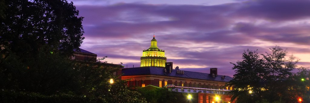 Rochester Baseball banner