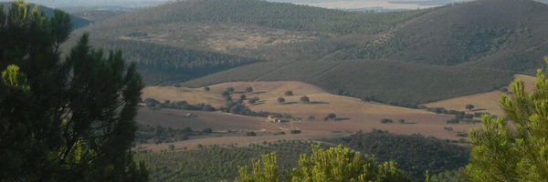 unkado Profile Banner