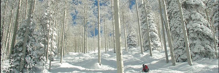 bonnagel's profile banner image