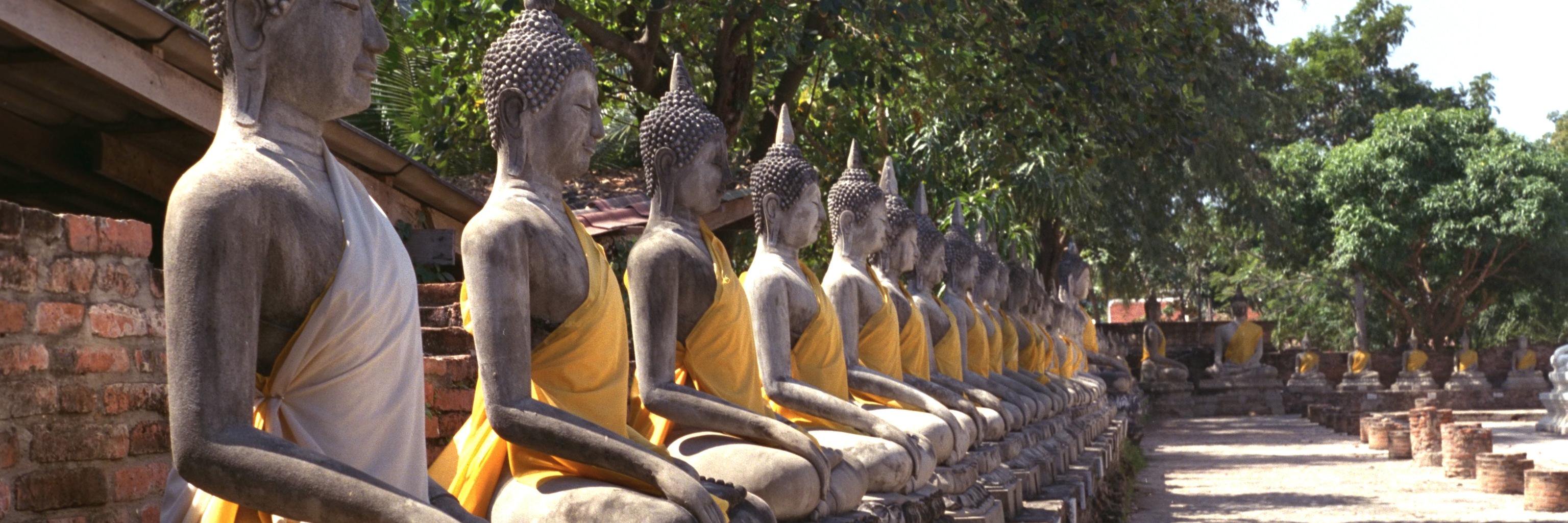 Gokhale Method banner