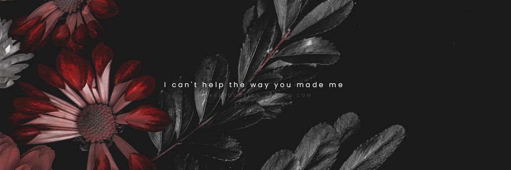 holabayy's profile banner image