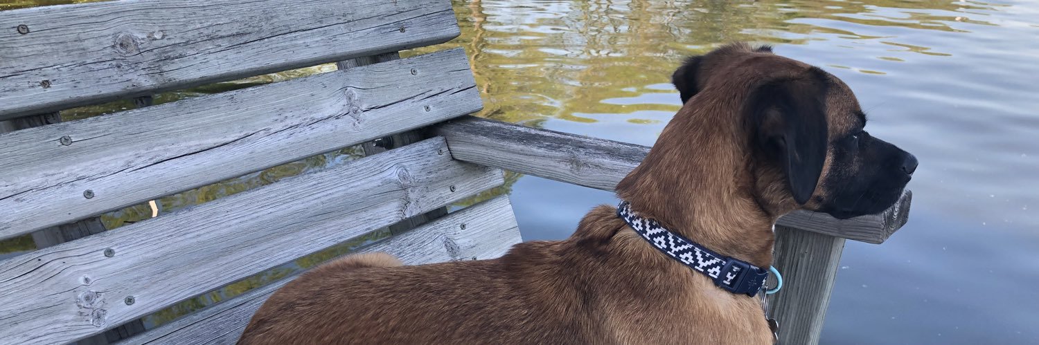 J. June in the House banner