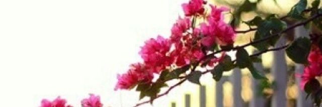 الشريف أبوخالد banner