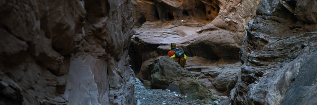 Joshua Riggins banner