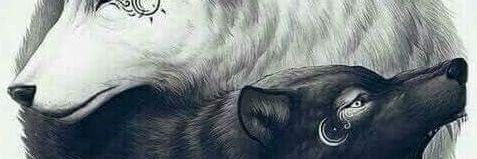 vincent_olvera's profile banner image
