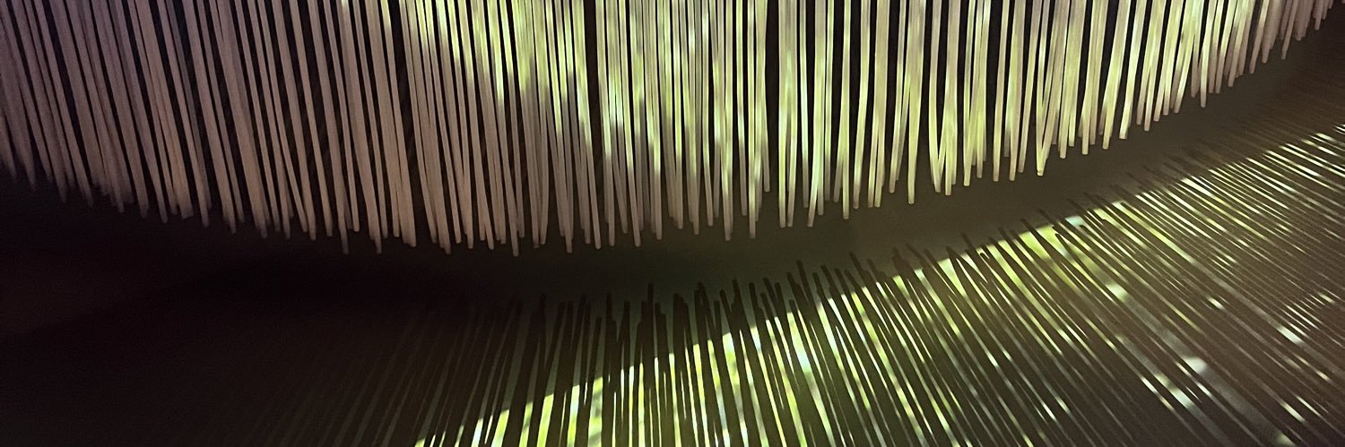 MKomendecka's profile banner image