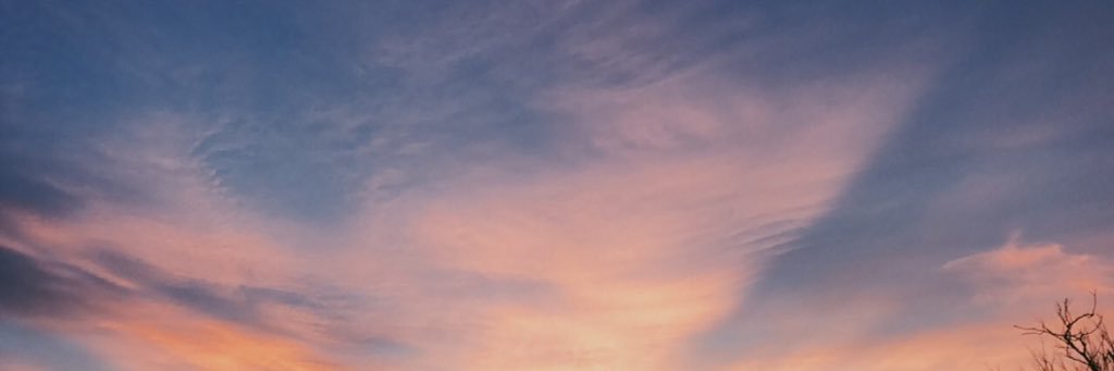 Bailey_Brooke2's profile banner image